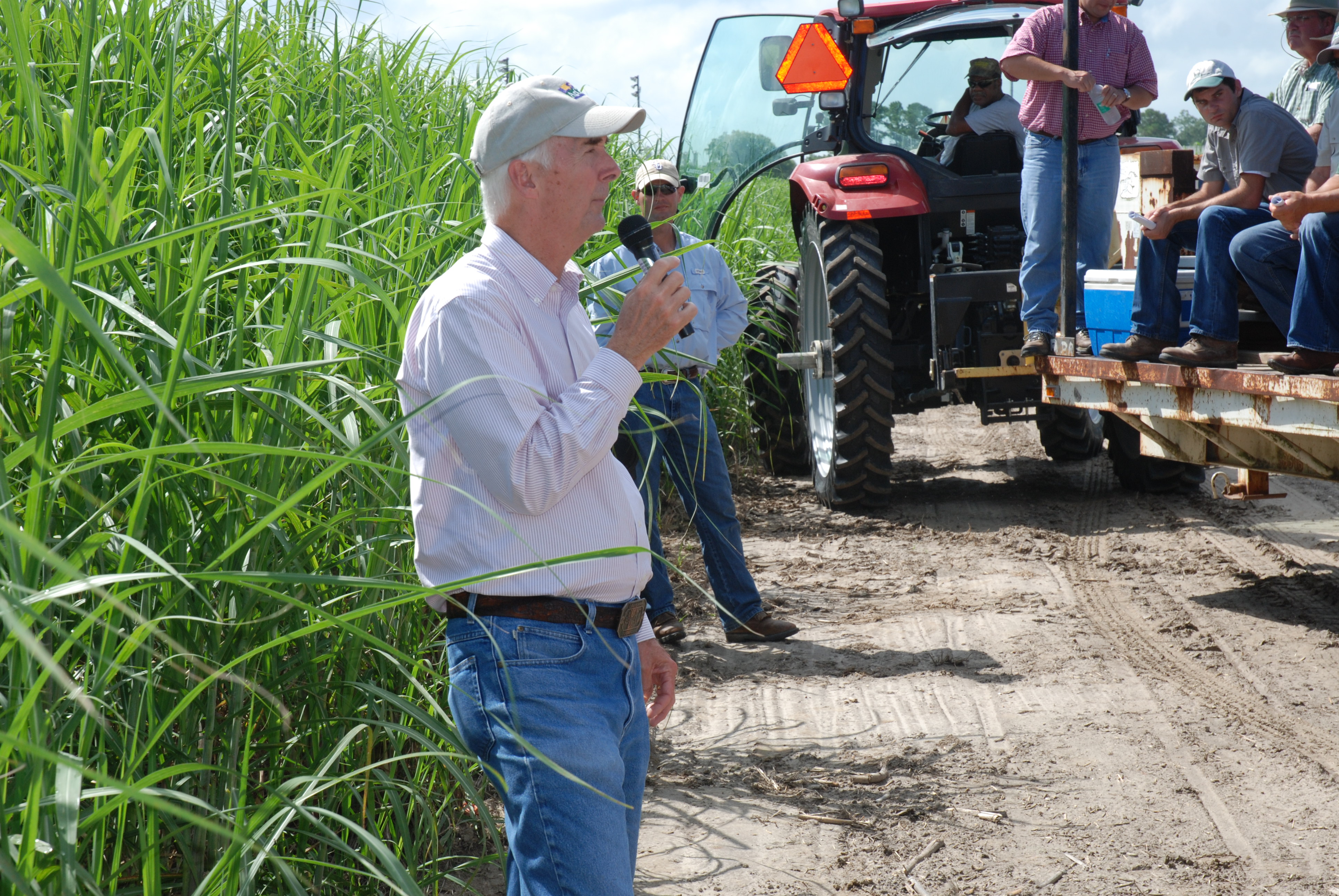 Sugarcane field day held in virtual format